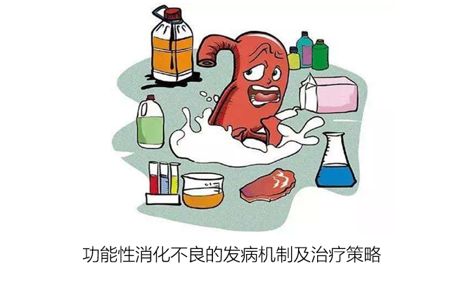 功能性消化不良的發病機制及治療策略